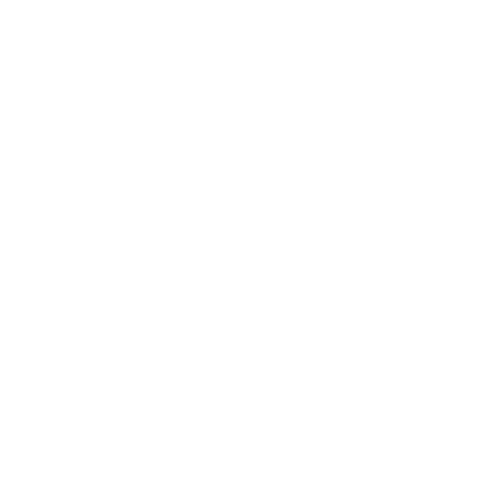 Logo White transparent